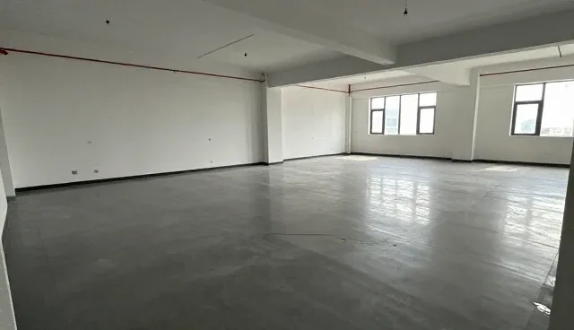 提升运维效率:定制化Web应用在实际中的应用与优化